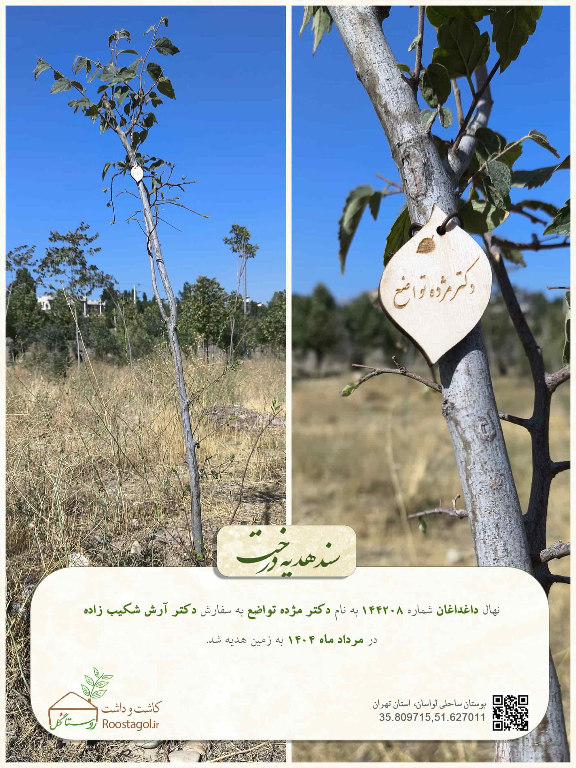 دکتر مژده تواضع